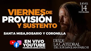 EN VIVO🔴Viernes Provisión y Sustento I Santa Misa Santo Rosario Coronilla de la Misericordia [upl. by Llerehs]