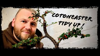 The S Cotoneaster gets a prune to see how its developing [upl. by Zumstein839]