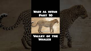 Wadi al hitan Egypt Part 10explorepage wadialhitan whales [upl. by Htez]