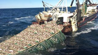 Amazing Big Catching on The Sea With Modern Big Boat  Amazing Giant Fishing Net I Never Seen [upl. by Oznofla300]