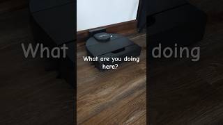 Neato d9 and Roomba 694 have a conversation [upl. by Adnahc694]