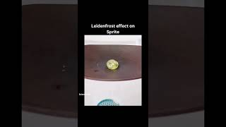 Leidenfrost effect science facts [upl. by Lichtenfeld]