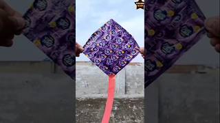 Fruit gala kite kite kiteflying basant2024 patanglovers basantfestival patang cartoonkite [upl. by Odlareg]