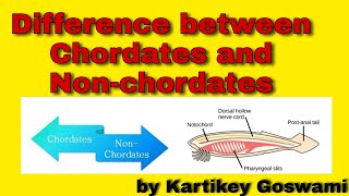 Difference between chordates and non chordates [upl. by Bible]