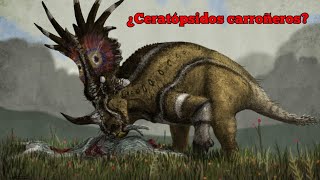 Ceratópsidos Carroñeros [upl. by Aroled]