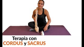 CORDUS  Instrucciones en video actualizado Selecciona un capítulo en la descripción [upl. by Gerhardine]