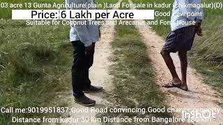 3 Acre 11 Gunta Agriculture plain Land for sale in Kadur chikmagalurD price6 Lakh per Acre [upl. by Onofredo]