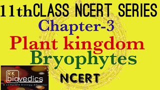 Bryophytes Class 11 Plant Kingdom  NCERT Neet exam [upl. by Mellisa486]