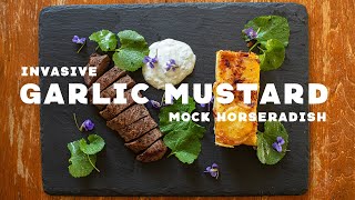 Mock Horseradish Sauce with Invasive Garlic Mustard [upl. by Hyde145]