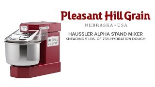 Häussler Alpha sprial mixer kneading 5 lbs of 75 hydration dough [upl. by Nnorahs]