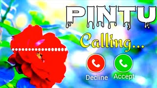 पिंटू भाई आपका कॉल आ रहा है Pintu naam ki ringtone 🌹 pintu name ringtone 🌹 pintu ringtone [upl. by Ydnahs]