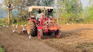 mahindra 475 DI shortvideo viralvideo farming [upl. by Anola287]