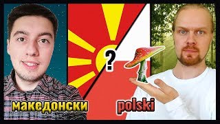 Macedonian Language VS Polish  How similar are Slavic Languages [upl. by Naej]