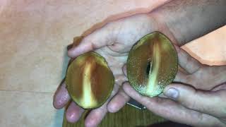 What is Sapodilla What Does it Taste Like [upl. by Cecilio]