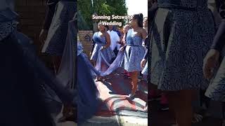 Dream Tswana Wedding wedding beautiful elegant bride steps culture attire viralvideo [upl. by Eneri]