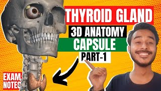 Thyroid Gland Anatomy 3D  Anatomy of thyroid gland in hindi  capsule of thyroid gland anatomy [upl. by Silvanus735]