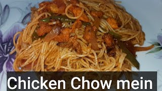 Indian style Chicken Chow mein  Quick chicken chow mein recipe 2020  Shahinda Kanwal [upl. by Abdul]