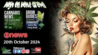 Live Stream Cannabis Market Insights New Research and Tips for Growing Big Tasty Buds [upl. by Anevad]