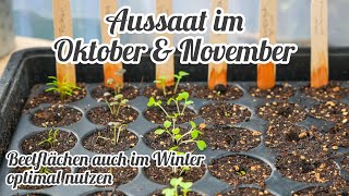 Beetflächen im Winter optimal nutzen  Aussaaten im Oktober amp Herbst [upl. by Nagiem]