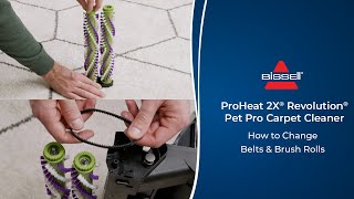 How to Change Belts amp Brush Rolls  ProHeat 2X® Revolution® Pet Pro Carpet Cleaner [upl. by Penn]