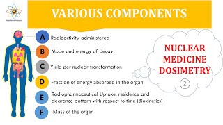 Various Components of Nuclear Medicine Dosimetry [upl. by Assillem]