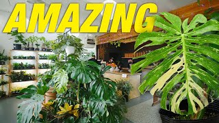 A Secret Hidden Gem  The Plant Store Tour [upl. by Ettevy]