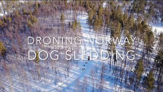 Droning Dogsledding Norway with offtrackexperiencecom [upl. by Radke169]