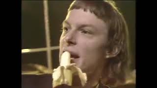 The Dickies  Banana Splits  HQ Remastered Music Channel [upl. by Yanffit]