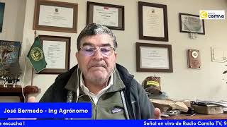 Conversando de Agricultura en RadioCamilaTV de LosAngelesCL [upl. by Alexis]