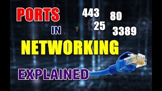 What Are Ports In Networking  Types Of Common TCP Ports  EXPLAINED [upl. by Garap]