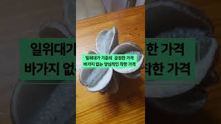 양산시 amp 기장군 지역 벌초 대행 기장벌초 양산벌초 기장군벌초 양산시벌초 벌초예약 제초작업 봉우인력 [upl. by Nylecyoj]