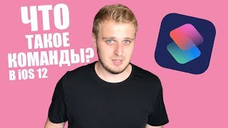 Команды Siri в iOS 12 Что такое и как пользоваться приложением Shortcuts [upl. by Jamnes334]