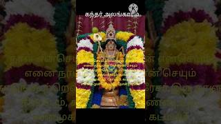 Kandhar Alangaram Nal en seiyum song godstatus lord murugan devotional Om muruga potri [upl. by Buseck]