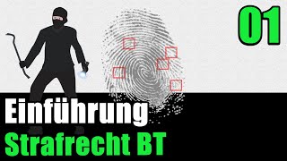 Strafrecht BT 01  Einführung [upl. by Farkas660]