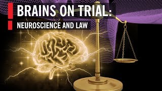 Brains on Trial Neuroscience and Law [upl. by Mcilroy699]