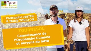 Orobanche cumana en PoitouCharentesVendée  connaissance et moyens de lutte  CJESTINETOURTON [upl. by Ised]