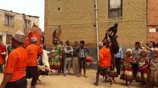 Navadurga Jatra Animal Sacrifice Symbolism of Vedic Rituals [upl. by Almallah]