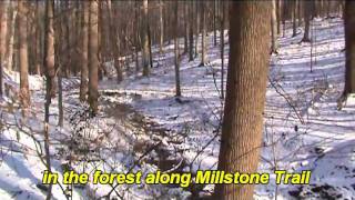 Two Scenes from White Clay Creek State Park Carpenter Recreation Area  Jan 9 2011 [upl. by Aitnohs]