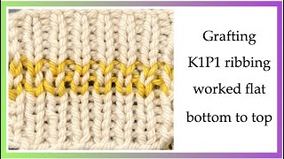 Grafting k1p1 ribbing aka kitchener k1p1 ribbing worked flat [upl. by Ynnad475]