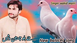 new Balochistan Song burzen kohan sabzen baagha sar Zameen may janaten singer wahid marri [upl. by Noiemad]