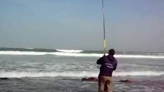 Pêche dune grande courbine au maroc [upl. by Conger]