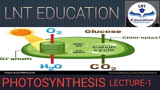 PHOTOSYNTHESISSCIENCE LECTURE1FOR HCS BOARD EXAM [upl. by Ruthann]