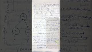 Gametogenesis spermatogenesis oogenesis biology zoology notes [upl. by Yennor]