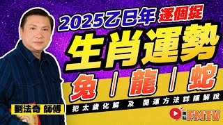 【兔🐇、龍🐉、蛇🐍】2025乙巳蛇年十二生肖運勢預測｜2025犯太歲、人緣運、財運、事業運、姻緣運生肖詳講《劉法奇玄真堂︱第58集》CC字幕︱蛇年運程︱生肖運程︱FMTV [upl. by Eoj562]