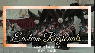 Eastern Regionals Taxidermy Competition [upl. by Brackett]