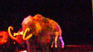 Ringling Brothers and Barnum and Baileys Legends Wooley the Mammoth [upl. by Aronek]