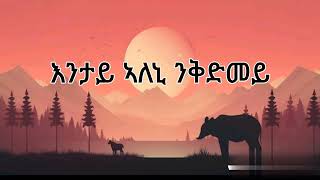 Shewit Mezgebo Tsemakani ሸዊት መዝገቦ ፀማእኻኒ [upl. by Draner]