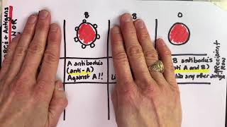 ABO Blood Typing Vid4 Recipient Match HCSP21 [upl. by Wilone]