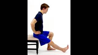 SEATED HAMSTRING STRETCH hep2go [upl. by Legnaleugim795]