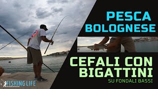 Pesca ai CEFALI con BIGATTINO Come pescare a bolognese montatura micidiale [upl. by Barcellona]